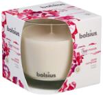 Bolsius Bolsius Polska Sprzedaż sp. z o. o. Bolsius Aromatic 2.0 Ароматна свещ в стъкло, 95x95 мм, Чиста романтика