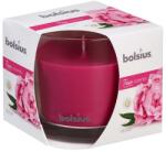 Bolsius Bolsius Polska Sprzedaż sp. z o. o. Ароматна свещ Bolsius Aromatic 2.0 в стъкло, 95x95 мм, божур