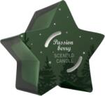 SOLVENT Import dod. PL Свещ Q Home Star green 125 г