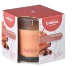 Bolsius Bolsius Polska Sprzedaż sp. z o. o. Ароматна свещ Bolsius Aromatic 2.0 в стъкло, 95x95 мм, ябълка и канела