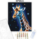  Csillagfényes zsiráf - számfestő készlet - 50×60 cm (Keretre feszítve)