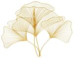 IV Interior Concept Decoratiune de perete frunze de ginkgo filigran, Ginkgo 90cm auriu (A-41274 VC)