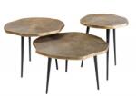 IV Interior Concept Set de 3 masute design unicat Organic (A-42247 VC) Masa de cafea