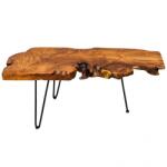 IV Interior Concept Masuta living design unicat Wild 100x40cm A-38797 VC (A-38797 VC) Masa de cafea