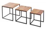 IV Interior Concept Set de 3 masute design industrial-vintage Elements Sheesham (A-38605 VC) Masa de cafea