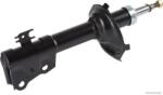 Herth+buss Jakoparts Amortizor HERTH+BUSS JAKOPARTS J4302012 (J4302012) - fixbox