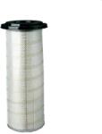 DONALDSON Filtru aer DONALDSON P150695 (P150695)