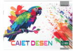 PAPERLAND Caiet desen Paperland, 24 file, 80g/mp, coperta lucioasa (PP-24000082)