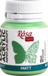 Rosa Talent Vopsea acrilică Mint (41) Mat 20 ml 1 buc (20041)