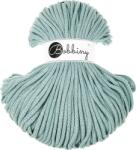 Bobbiny Premium 5 mm 100 m Duck Egg Blue Șnur (<![CDATA[XX-E4092]]>)