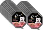Cesar CESAR tál 24x150 g - teljes értékű nedves eledel felnőtt kutyáknak, terrine puha borjúhússal és baromfival