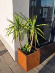 Flare Magaságyás corten acél virágágyás 40 x 40 cm (FBS2001)