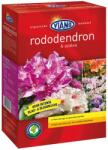 VIANO Rhododendron táp 6-6-9 +3MgO - 1, 75Kg - thegreenlove