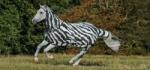 Bucas Buzz-Off Zebra Full Neck zebra - 140 cm