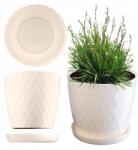 Kadax Műanyag Virágtartó Állvány Virágtartó Erős 20cm Krémszínű (K972)