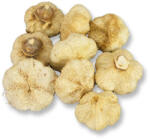  Termés fokhagyma kb 30g/csom