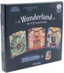 iDventure Puzzle aditional setul 1, Wonderland (Cutia Fermecată a lui Alice), iDventure