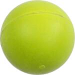 Pawise Jucarie Solid Ball 6.3 Cm (14718)