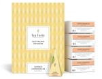 Tea Forté Ceai Tea Forte Ginger Lemongrass ECO - Cutie cu 10 Piramide