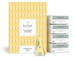Tea Forté Ceai Tea Forte Moroccan Mint ECO - Cutie cu 40 Piramide