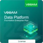 Veeam Data Platform Foundation Enterprise Plus Corporate Basic (1 Jahr) (V-FDNPLS-VS-P0000-00)