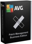 AVG Technologies Patch Management Business Edition 1 an (8721098489196)