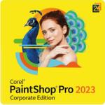 Corel PaintShop Pro 2023 Corporate Edition 1 User Achiziție Nouă (LCPSP2023ML0)