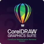 Corel WinZip SafeMedia CorelSure Maintenance 5 - 50 Utilizator(i) (LCWZSMEDMLMNT11)