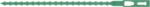Strend Pro Garden Benzi de legat plante Garden HG6171-B, 170 mm, 80 buc, verzi (2170157)