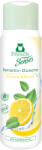 Frosch tusfürdő Citrommenta 300 ml (FR-5983)