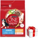 ONE PURINA ONE Junior Medium/Maxi Puppy csirkehúsban gazdag kutyakaja rizzsel 2, 5 kg + Meglepetés A Kutyádnak Ingynes