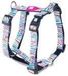 Max & Molly H-hám - Magic Zebra - S - petfirst
