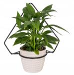 Versanis Fali Virágágyás Fém Loft Gyémánt Virágtartó Polc Modern Design (558)