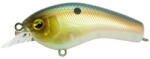 Raid Japan RAID SKM SUPER KOSOC MACHINE 60mm 10.5gr 007 Magic Shad (RAID00263)