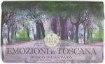 Nesti Dante Emozioni in Toscana, Enchanting Forest szappan 250g (837524000731) (837524000731)