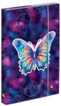 KARTON P+P Füzetbox OXY A/4 Butterfly (3-75625) - vectraline