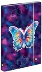 KARTON P+P Füzetbox OXY A/5 Butterfly (5-69025) - vectraline