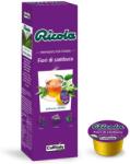 Ricola Caffitaly - Ricola Fiori di Sambuco kapszula - 10 adag