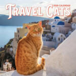 WORKMAN Cal 26 travel cats | wall