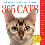 WORKMAN Cal 26 365 cats | box