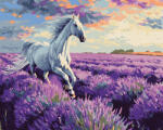 Ideyka Set pictura pe numere, cu sasiu, Galop in campul de lavanda, 40x50 cm (KHO6659)