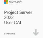 Microsoft Project Server 2022 User CAL (DG7GMGF0F4LF-0001)