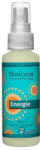 Saloos Természetes légfrissítő Energia 50ml