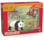 Schleich Schleich: Wild Life Asia set de pornire 42736 Figurina