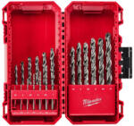 Milwaukee 4932499766 Burghiu
