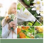 Yankee Candle Gyertya Fehér Gardenia Signature Nagy