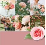 Yankee Candle Gyertya Friss Vágott Rózsák Signature Nagy