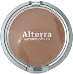 Alterra Camouflage korrektor /01 beige