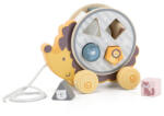 New Classic Toys Jucarie de tras roata sortator forme geometrice Arici PolarB (NC44025) - roua