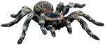 BULLYLAND Figurina Bullyland, Tarantula White Knee (BL4007176684573) Figurina